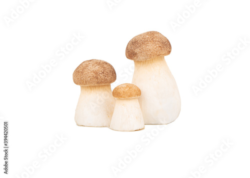Three eringi mushrooms