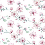 Seamless pattern of blossom pink cherry flowers in watercolor style with white background. Summer blooming japanese sakura branch decoration