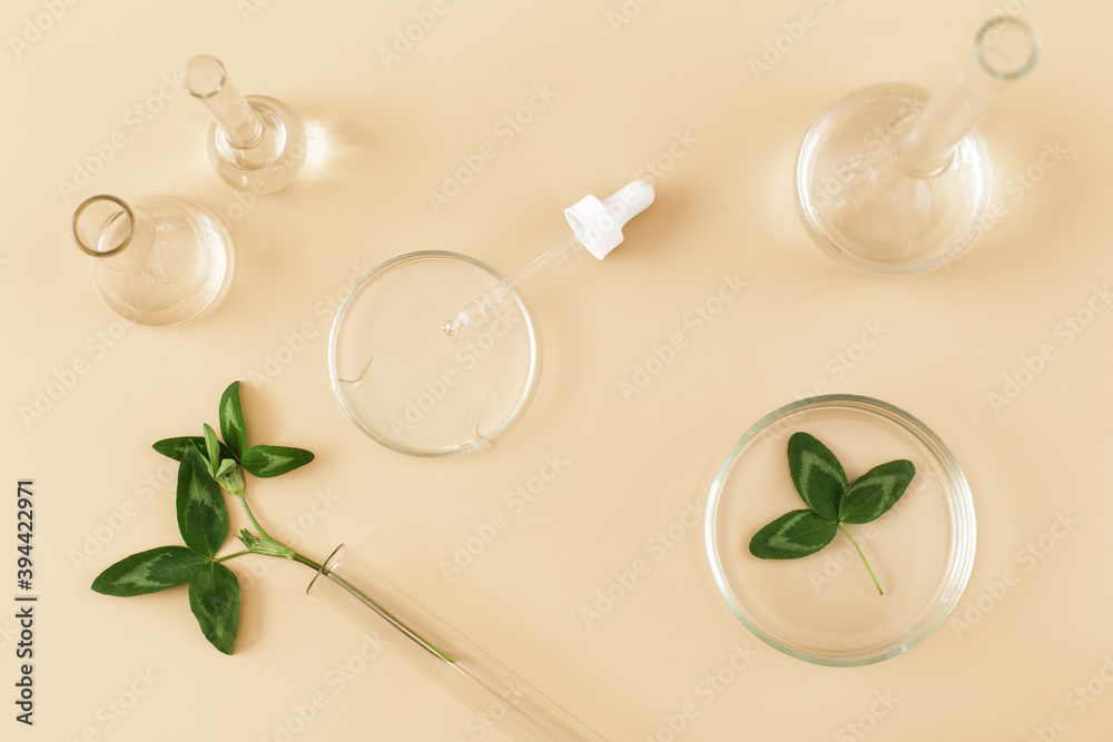Laboratory glassware and pipette with serum and oil on beige background. Natural medicine, cosmetic research, bio science, organic skin care products. Concept skincare. Dermatology.Flat lay, top view. Laboratory glassware and pipette with serum and oil on beige background. Natural medicine, cosmetic research, bio science, organic skin care products. Concept skincare. Dermatology.Flat lay, top view.
