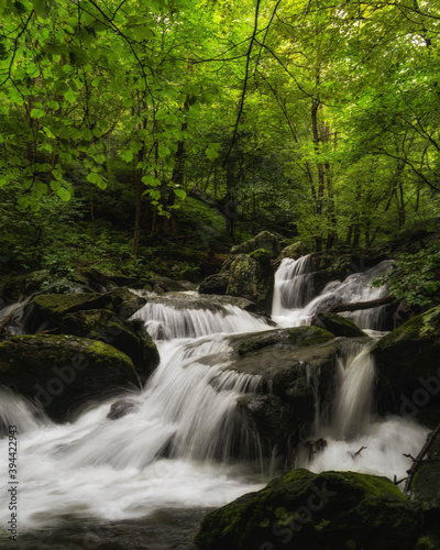 Fototapeta Naklejka Na Ścianę i Meble -  waterfall in the green forest