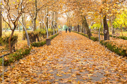 A view of Laleh park in an autumn day  Tehran capital city  Iran
