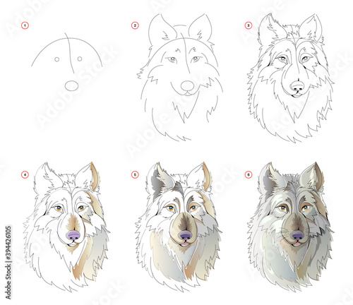 How to learn to draw sketch of the fairy tale wolfs head. Creation step by step watercolor painting. Educational page for artists. Textbook for developing artistic skills. Online education.