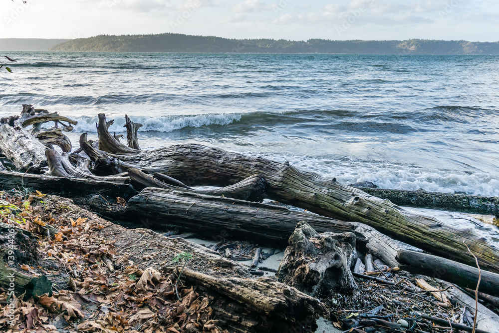 Dash Point Seascape 2 Dash Point Seascape 2