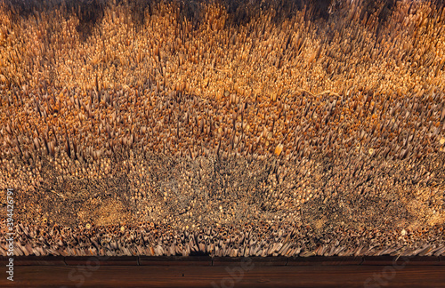 Close-up on the texture of an old Japanese traditional roofing method of thatching named Kayabuki thatched roof using densely packed bulk of dry straw as thick layering in the Buddhist Tamonji temple. photo