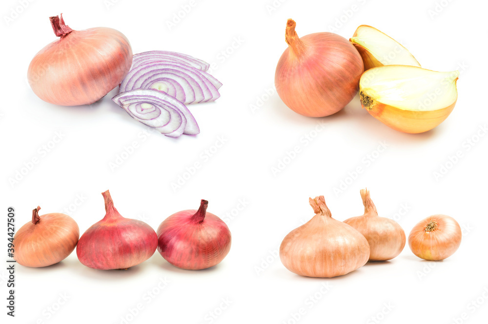 Set of Onion over a white background Set of Onion over a white background