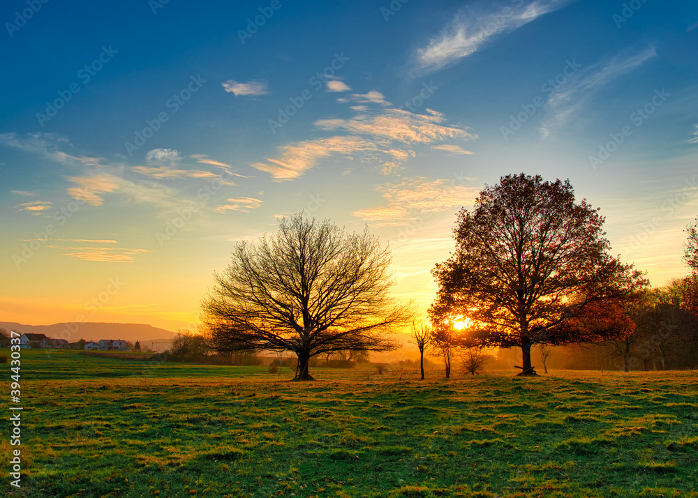 Fototapeta premium sunset in the park