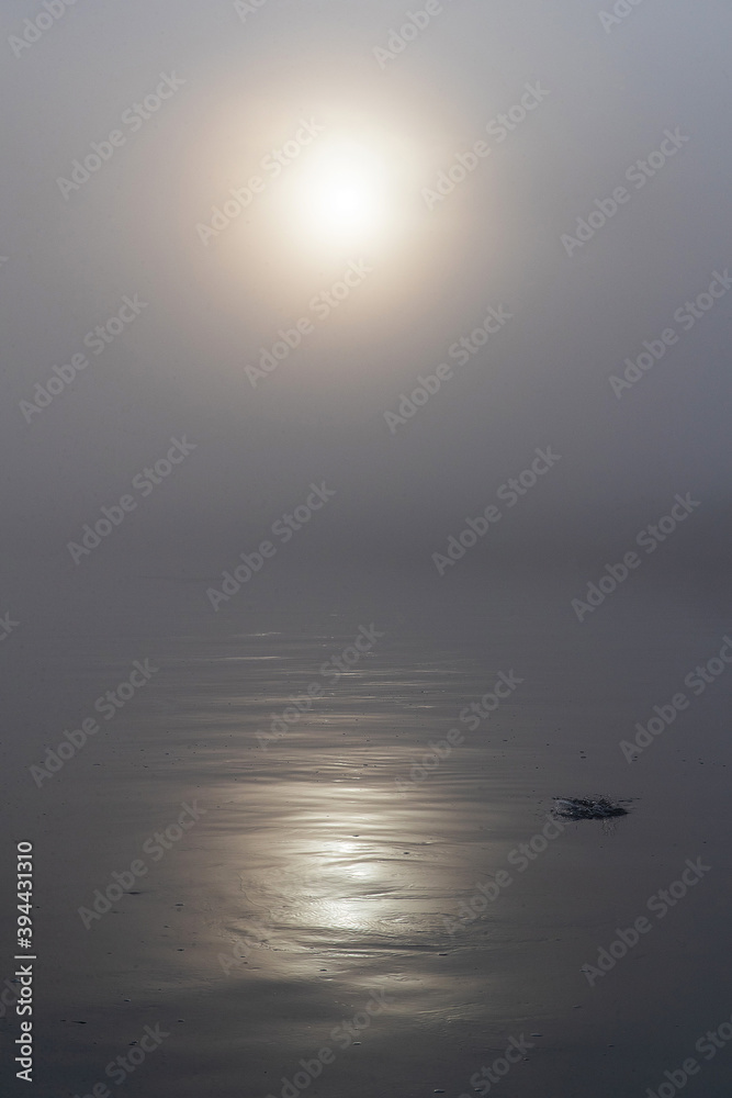 Fototapeta premium Dark, foggy river early in the morning during sunrise