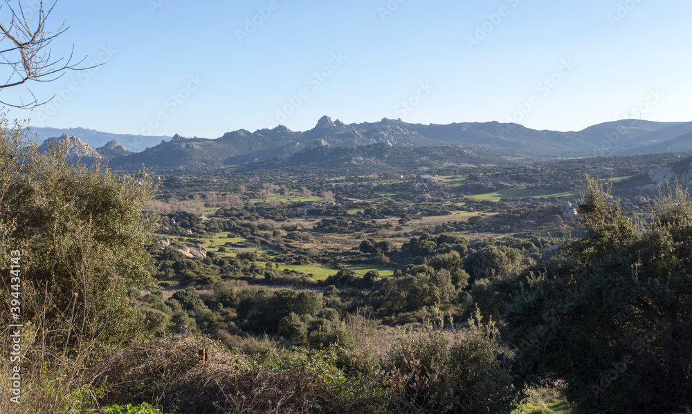 An hill view in the north of Sardinia