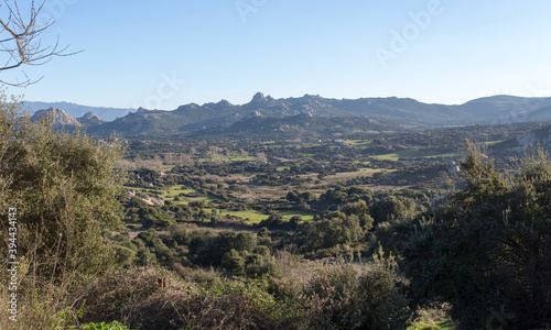 An hill view in the north of Sardinia © mauriziobiso
