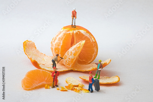 Miniaturfiguren zerlegen Mandarine photo