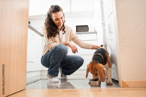 Woman stroking a dog approvingly photo