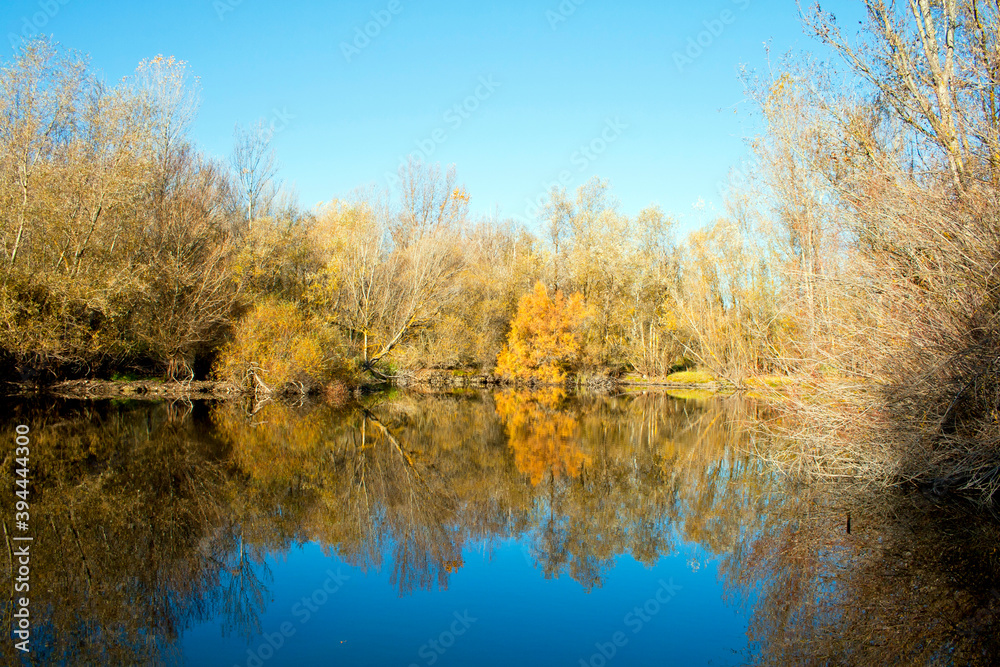 autumn forest reflected in the calm waters of a lake makes a mirror effect