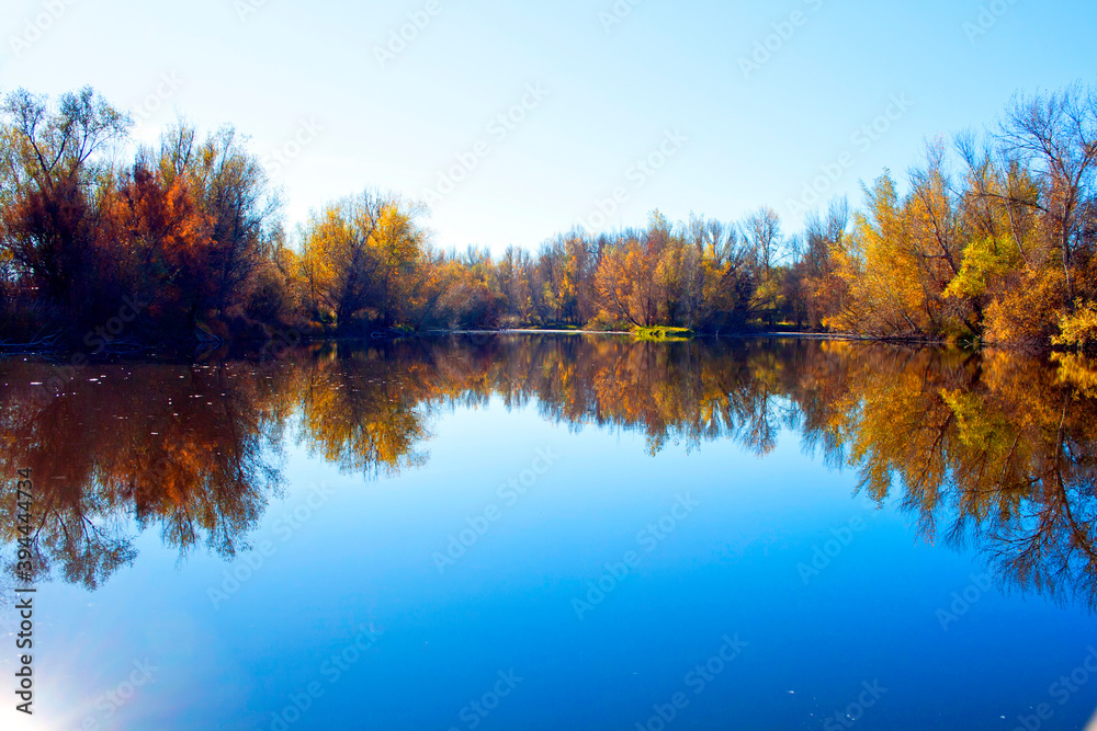 autumn forest reflected in the calm waters of a lake makes a mirror effect