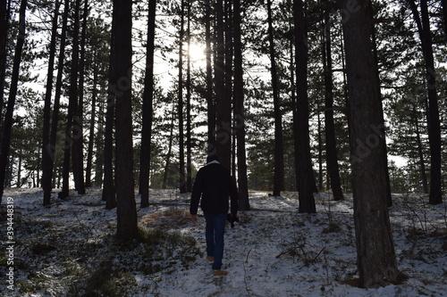walk in the woods