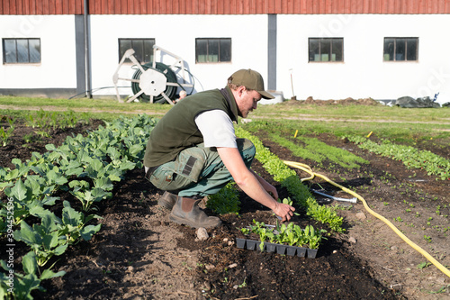 Man working on field, Sweden