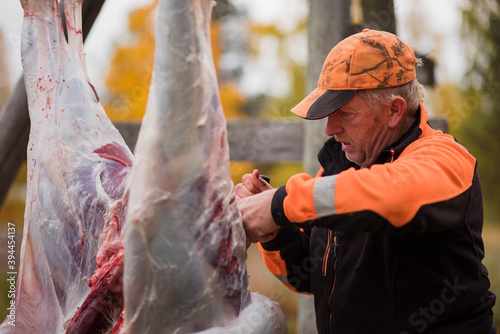 Man preparing dead animal, Sweden
