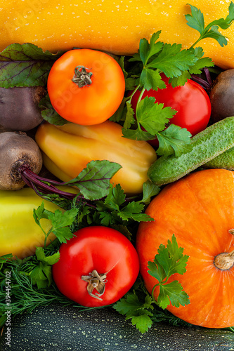 Vegetable background. Food background. Different autumn vegetables. Harvest. Vertical photo.