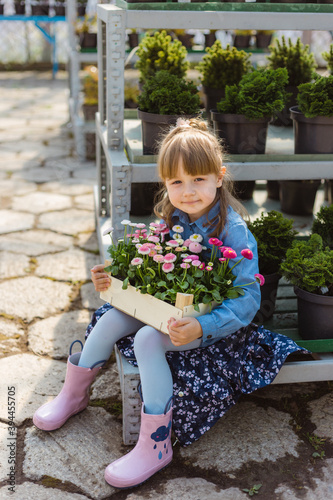 Happy 5 year old girl holding a box of pink daisies in a garden centre 