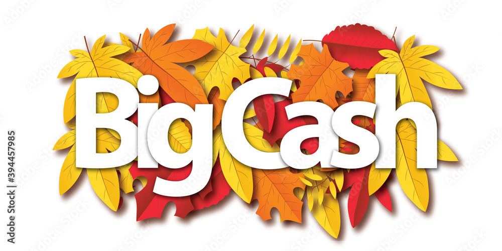 big cash big cash