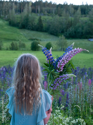 Girl holding lupin flowers, Sweden