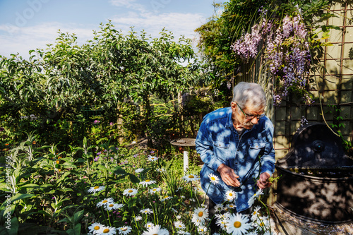 Man in summer garden, Denmark photo