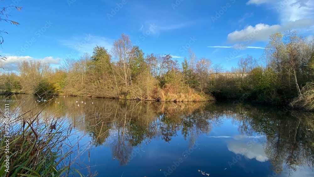 Park canal in a beautiful sunny autumn day with trees and cloud reflecting on the calm, still water, scenic nature landscape, beautiful nature, blue sky and water. Park canal in a beautiful sunny autumn day with trees and cloud reflecting on the calm, still water, scenic nature landscape, beautiful nature, blue sky and water.