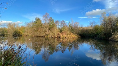 Park canal in a beautiful sunny autumn day with trees and cloud reflecting on the calm  still water  scenic nature landscape  beautiful nature  blue sky and water.