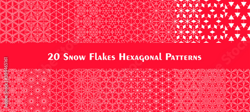 Set of twenty hexagonal Snow Flake Patterns. Christmass and New Year wallpaper or wrapping paper design.