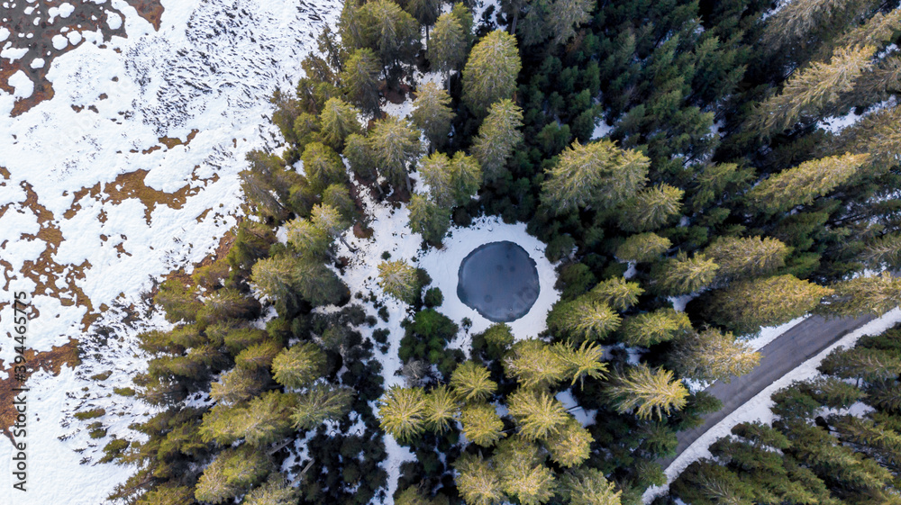 Drop down view of road crossing winter pine forest with small pond.