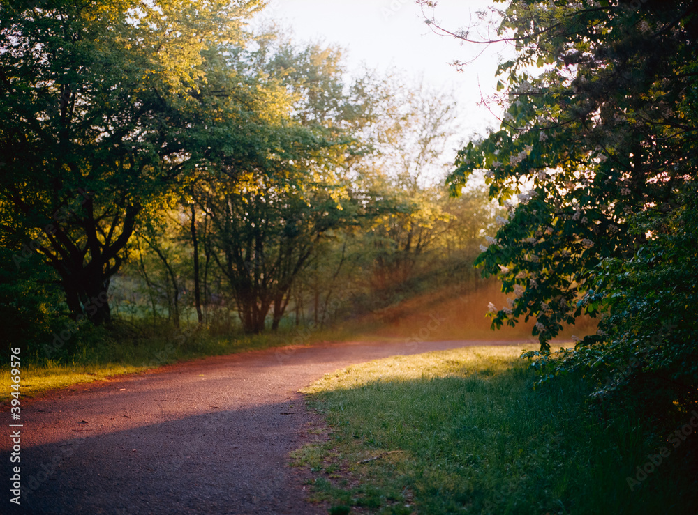 Naklejka premium Morning sunshine.