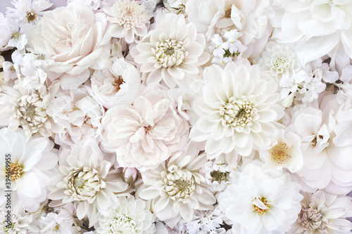 Fényképezés Delicate blossoming white flowers, blooming roses and dahlias festive background