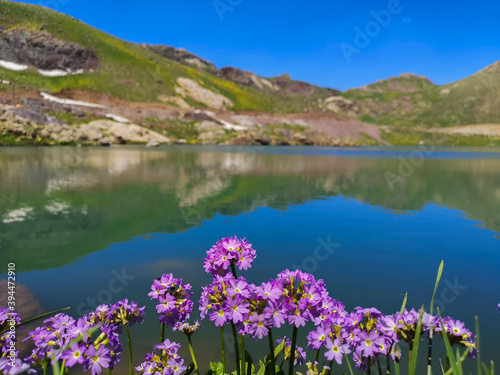 A lake view in the mountains, colorful flowers by the lake, green meadows. blue sky 