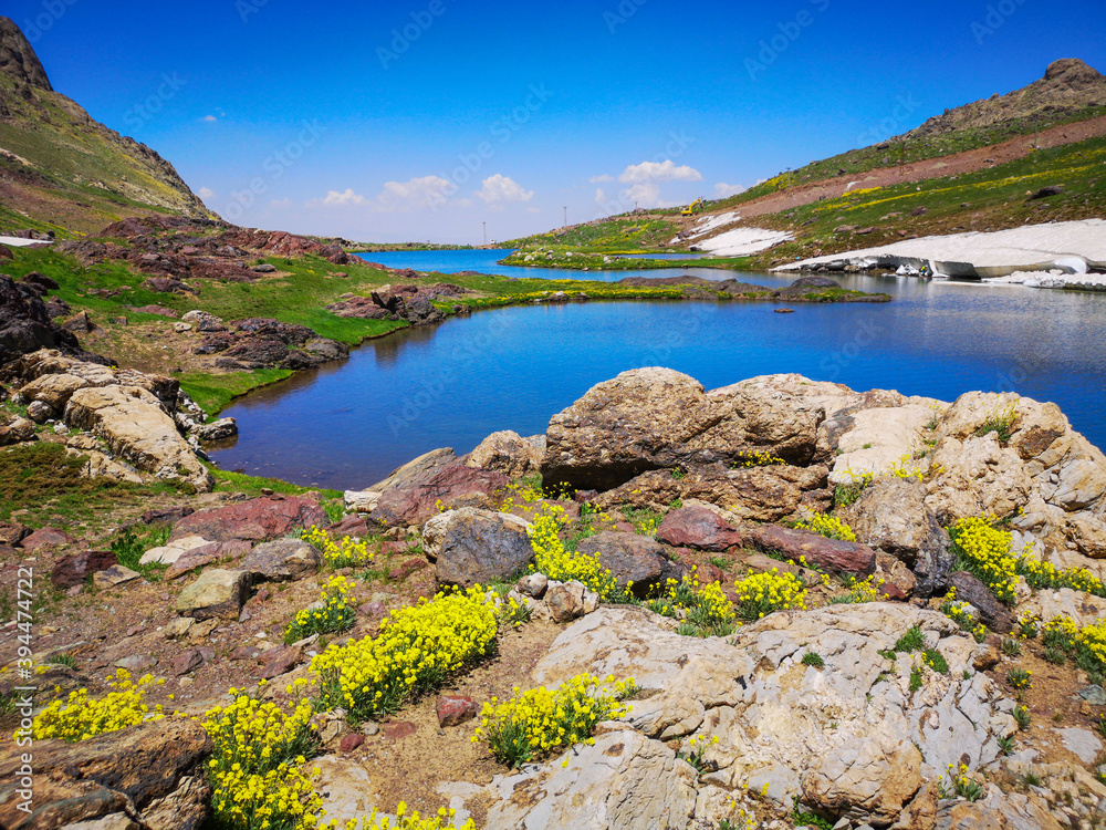 A lake view in the mountains, colorful flowers by the lake, green meadows. blue sky
