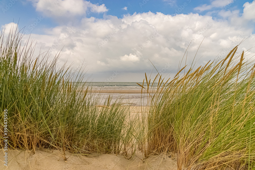 Meer, Strand, Seegras mit Wolkenhimmel am Meer Meer, Strand, Seegras mit Wolkenhimmel am Meer