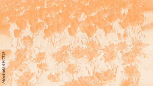 Light orange floral background with tulips flowers pattern
