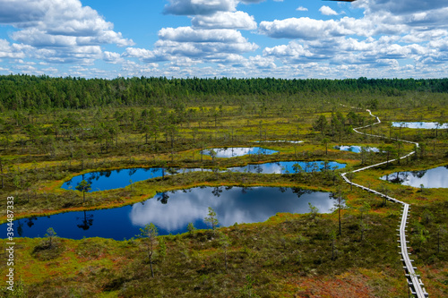 lake in the bog