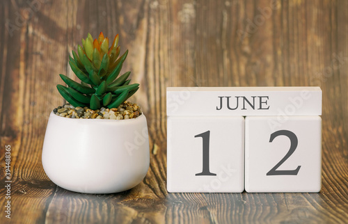 Fotografie Flower pot and calendar for the warm season from 12 June