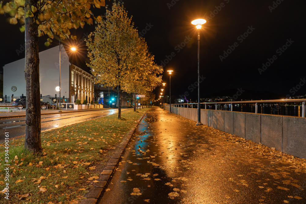 Autumn leaves in the city. Night scenery