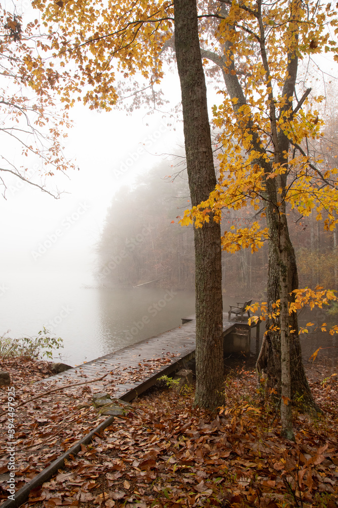 Autumn Fog at the Green Mountain Nature preserve in Huntsville Alabama