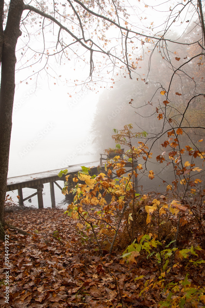 Autumn Fog at the Green Mountain Nature preserve in Huntsville Alabama
