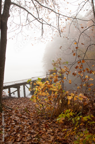 Obraz na płótnie Autumn Fog at the Green Mountain Nature preserve in Huntsville Alabama w salonie