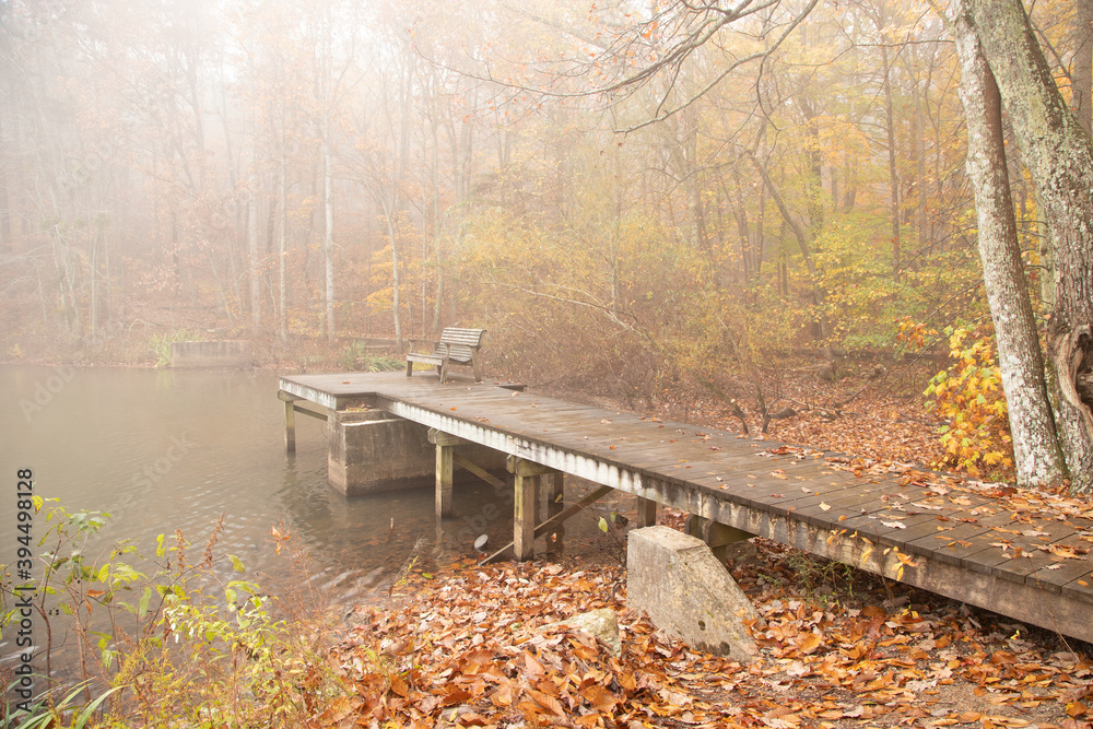 Autumn Fog at the Green Mountain Nature preserve in Huntsville Alabama
