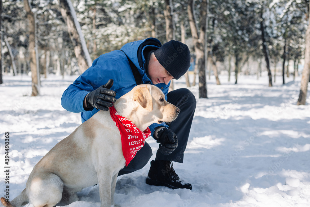 A man sits with a dog at the snowy park. Labrador retriever and his owner sit together outdoors dueing the winter. The man adjusts dog's collar. Friendship, pets and holidays concept.