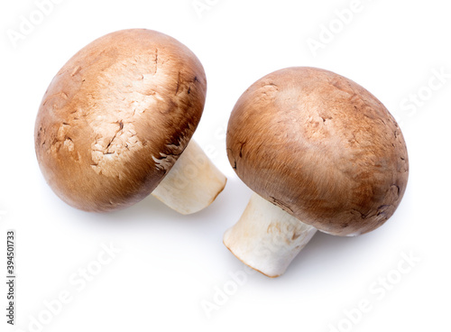 two mushrooms isolated on white background