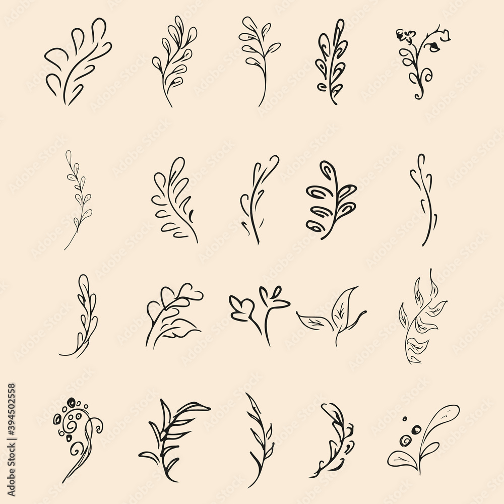 Fototapeta premium Doodle collection of 20 hand-drawn floral elements. Big collection of 20 hand-drawn branches. Big floral botanical set. Isolated