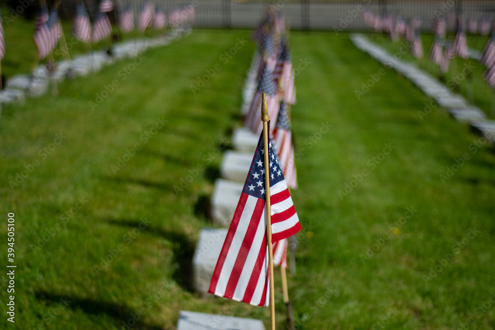 American flags on the graves of veterans during Memorial Day