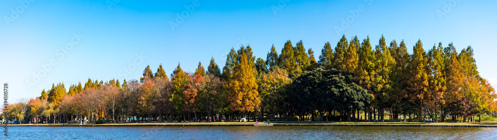 (東京都ｰ風景パノラマ)青空とみさと公園の風景１