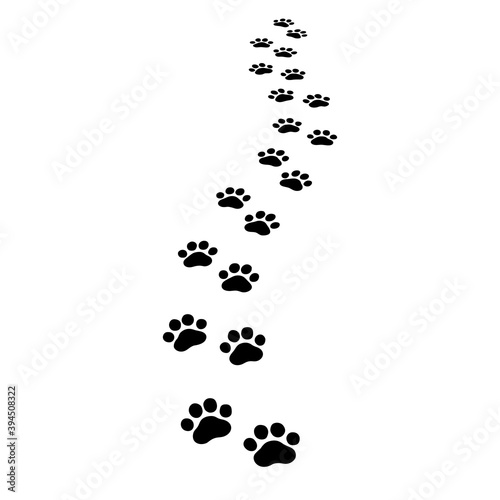 Paw print. Footprints for pets, dog or cat. Pet prints pattern. Foot puppy. Black silhouette shape paw. Perspective away footprint pet. Animal track. Receding trace dogs, cats. Cute background. Vector