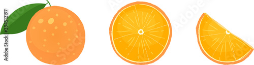 Orange fruits in whole, slice, and wedge forms. Isolated vector illustrations on white background.