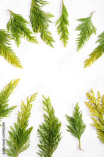 Trendy Christmas layout made with  evergreen branches  on white background. Creative arrangement of Christmas winter foliage. Holiday background. Flat lay.
